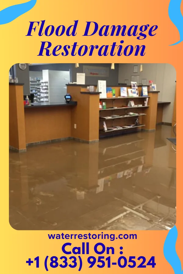 Flood Damage Restoration in Binford, ND